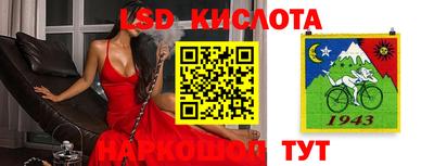 спайс Кунгур