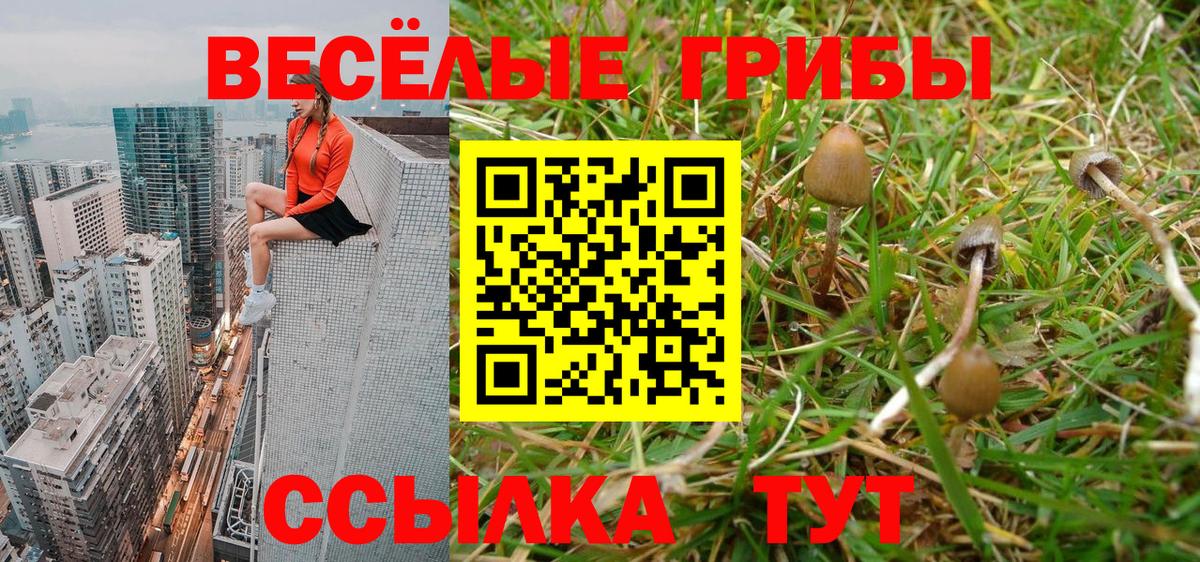 Галлюциногенные грибы Magic Shrooms  Вход с VPN  Елизово 