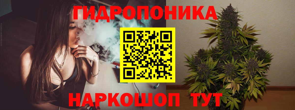 Шишки марихуана MAZAR Елизово